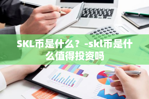 SKL币是什么？-skl币是什么值得投资吗