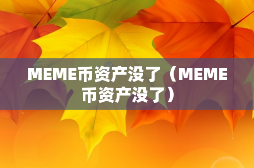 MEME币资产没了（MEME币资产没了）