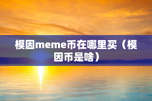 模因meme币在哪里买（模因币是啥）