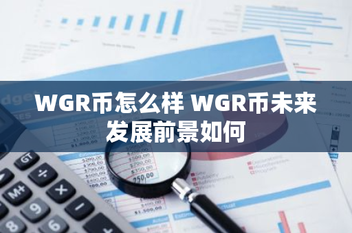 WGR币怎么样 WGR币未来发展前景如何