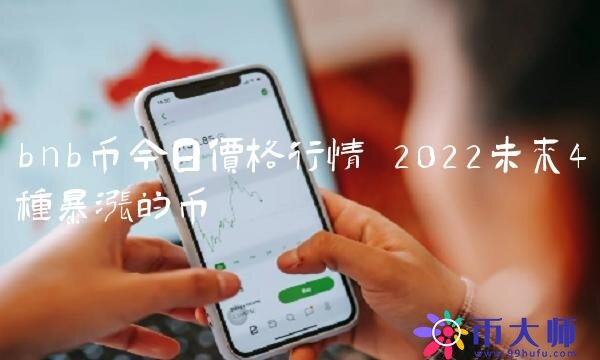 bnb币今日价格行情 2022未来4种暴涨的币-链应用