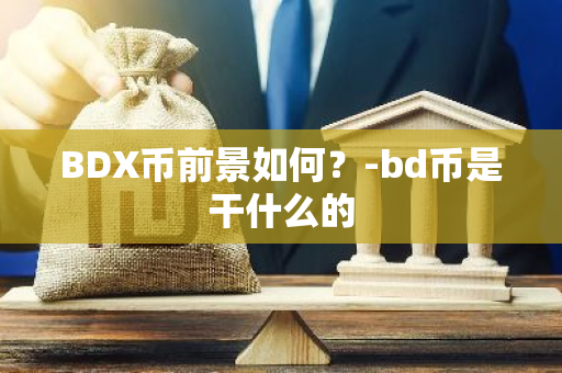 BDX币前景如何？-bd币是干什么的