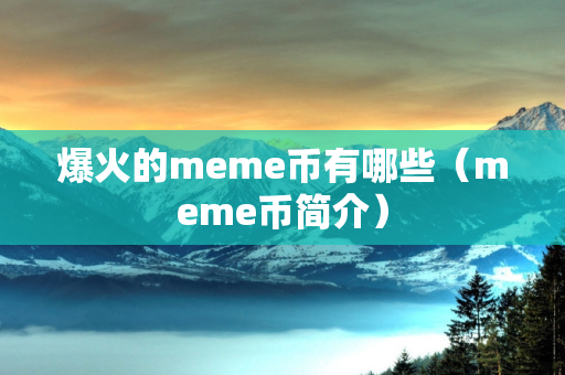 爆火的meme币有哪些（meme币简介）