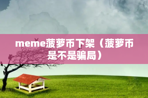 meme菠萝币下架（菠萝币是不是骗局）