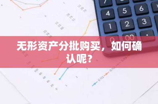 无形资产分批购买，如何确认呢？