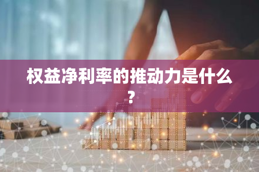 权益净利率的推动力是什么？