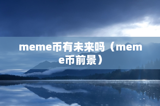 meme币有未来吗（meme币前景）