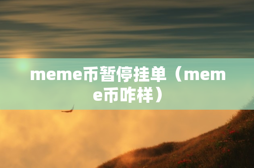 meme币暂停挂单（meme币咋样）