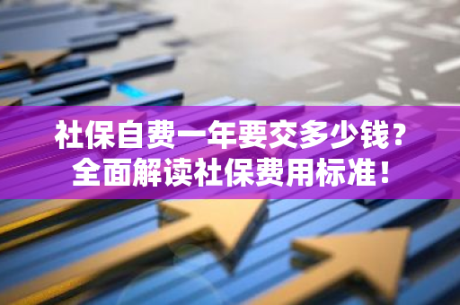 社保自费一年要交多少钱？全面解读社保费用标准！