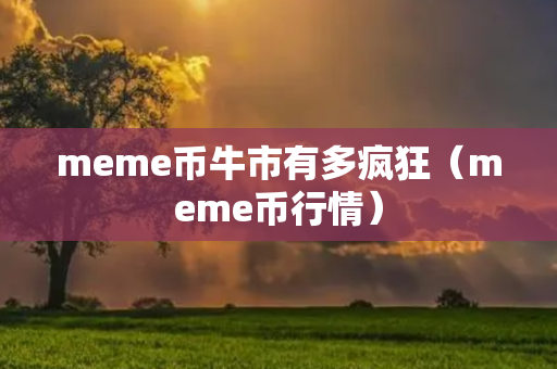 meme币牛市有多疯狂（meme币行情）