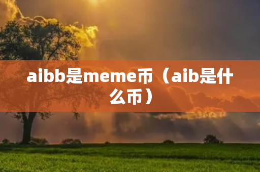 aibb是meme币（aib是什么币）