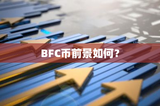 BFC币前景如何？