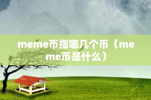 meme币指哪几个币（meme币是什么）