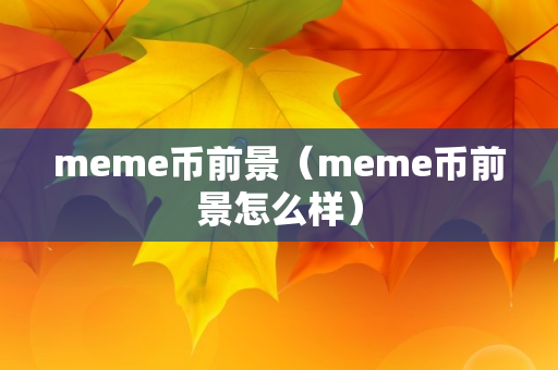 meme币前景（meme币前景怎么样）