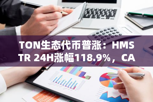 TON生态代币普涨：HMSTR 24H涨幅118.9%，CATI 24H涨幅25.4%