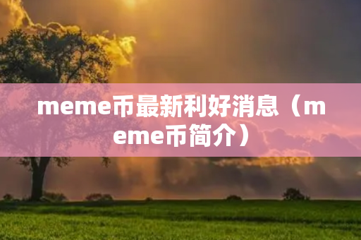 meme币最新利好消息（meme币简介）