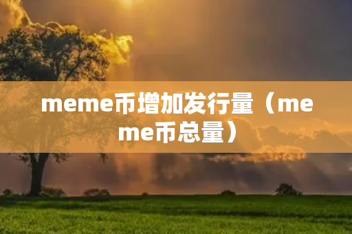 meme币增加发行量（meme币总量）