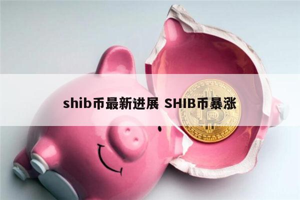 shib币是做什么项目 shib币未来前景