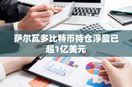 萨尔瓦多比特币持仓浮盈已超1亿美元