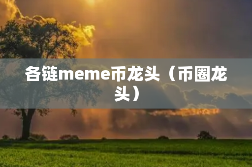 各链meme币龙头（币圈龙头）