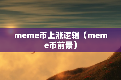 meme币上涨逻辑（meme币前景）