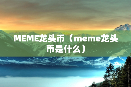 MEME龙头币（meme龙头币是什么）