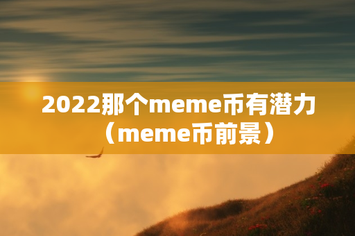 2022那个meme币有潜力（meme币前景）