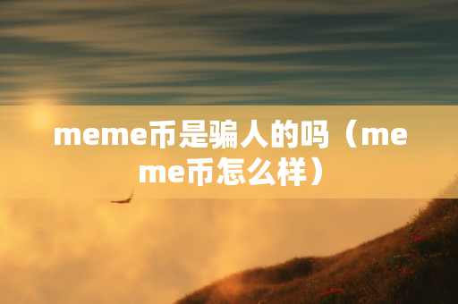 meme币是骗人的吗（meme币怎么样）