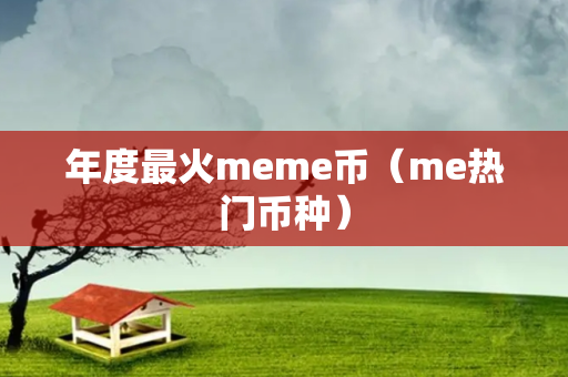 年度最火meme币（me热门币种）