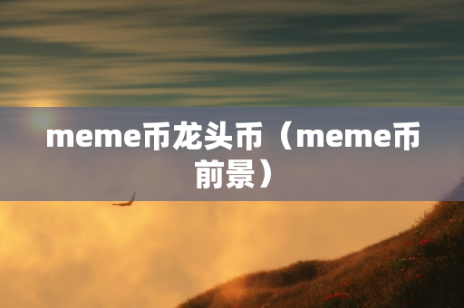 meme币龙头币（meme币前景）