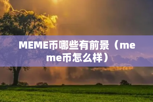 MEME币哪些有前景（meme币怎么样）