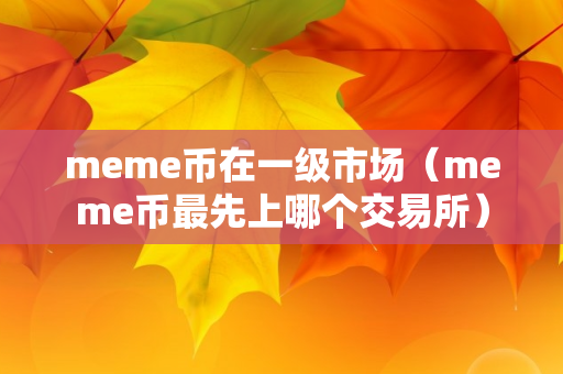 meme币在一级市场（meme币最先上哪个交易所）