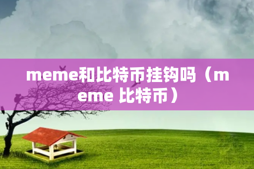 meme和比特币挂钩吗（meme 比特币）