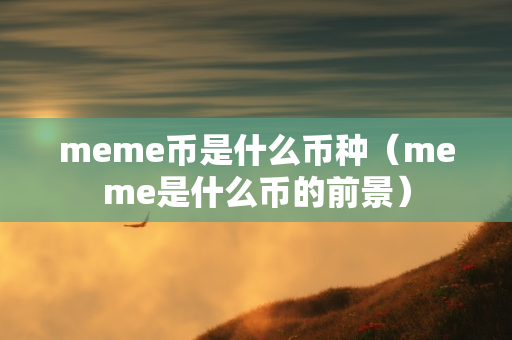 meme币是什么币种（meme是什么币的前景）