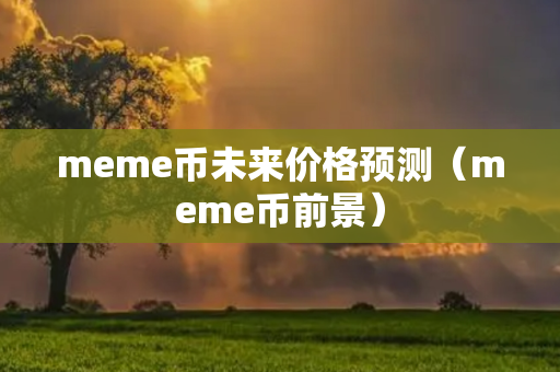 meme币未来价格预测（meme币前景）