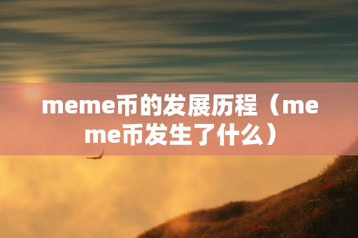 meme币的发展历程（meme币发生了什么）