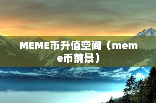 MEME币升值空间（meme币前景）