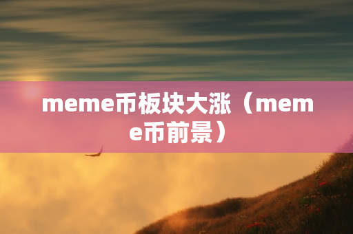 meme币板块大涨（meme币前景）