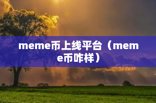 meme币上线平台（meme币咋样）