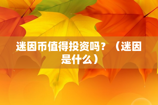 迷因币值得投资吗？（迷因是什么）