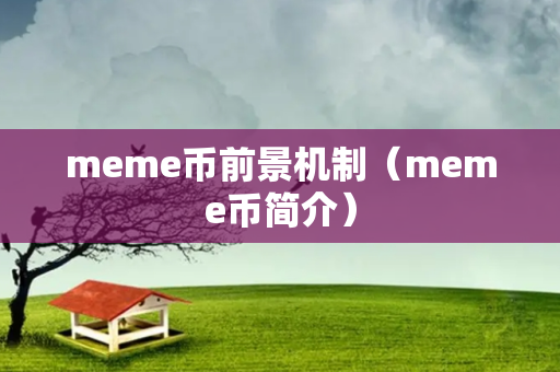 meme币前景机制（meme币简介）