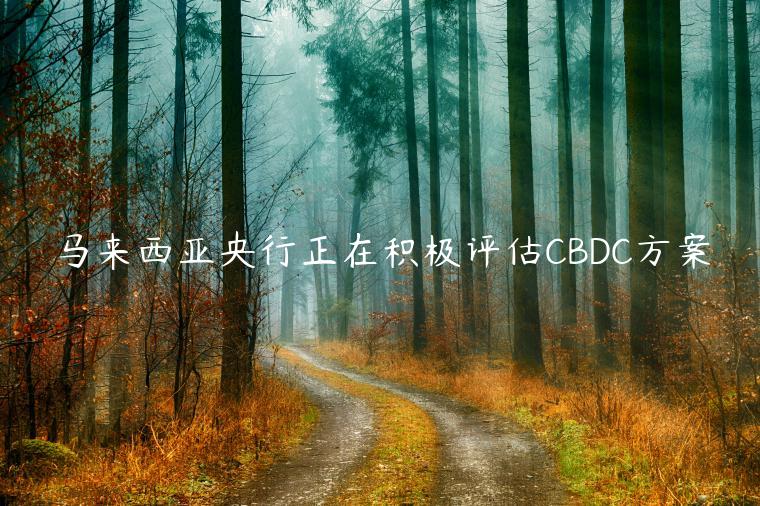 马来西亚央行正在积极评估CBDC方案