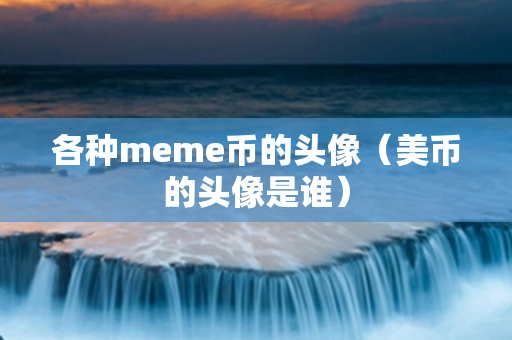 各种meme币的头像（美币的头像是谁）