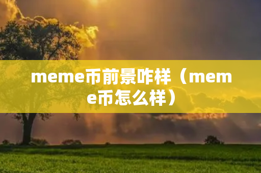 meme币前景咋样（meme币怎么样）