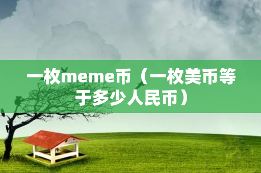 一枚meme币（一枚美币等于多少人民币）