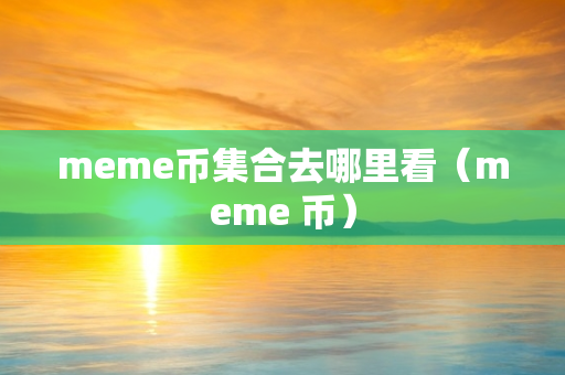 meme币集合去哪里看（meme 币）