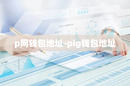 p网钱包地址-pig钱包地址