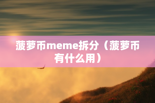 菠萝币meme拆分（菠萝币有什么用）