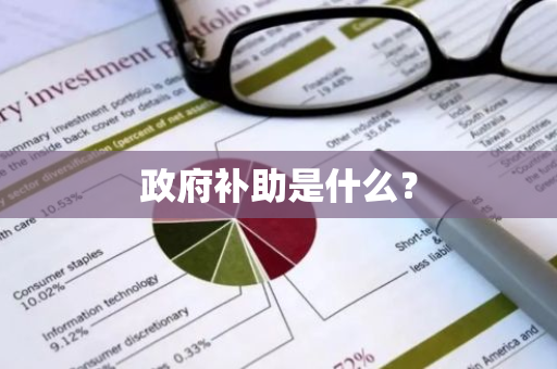 政府补助是什么？