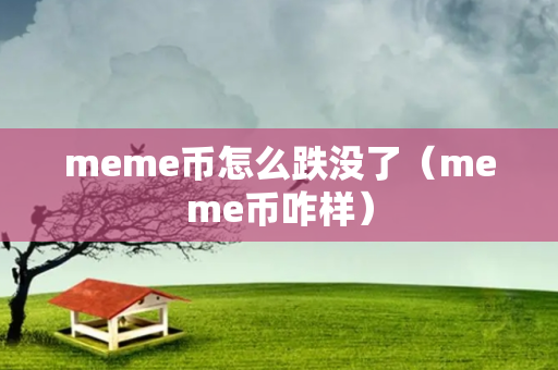 meme币怎么跌没了（meme币咋样）